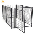 Canada Wired Mesh Fencing Dog Chien de chien